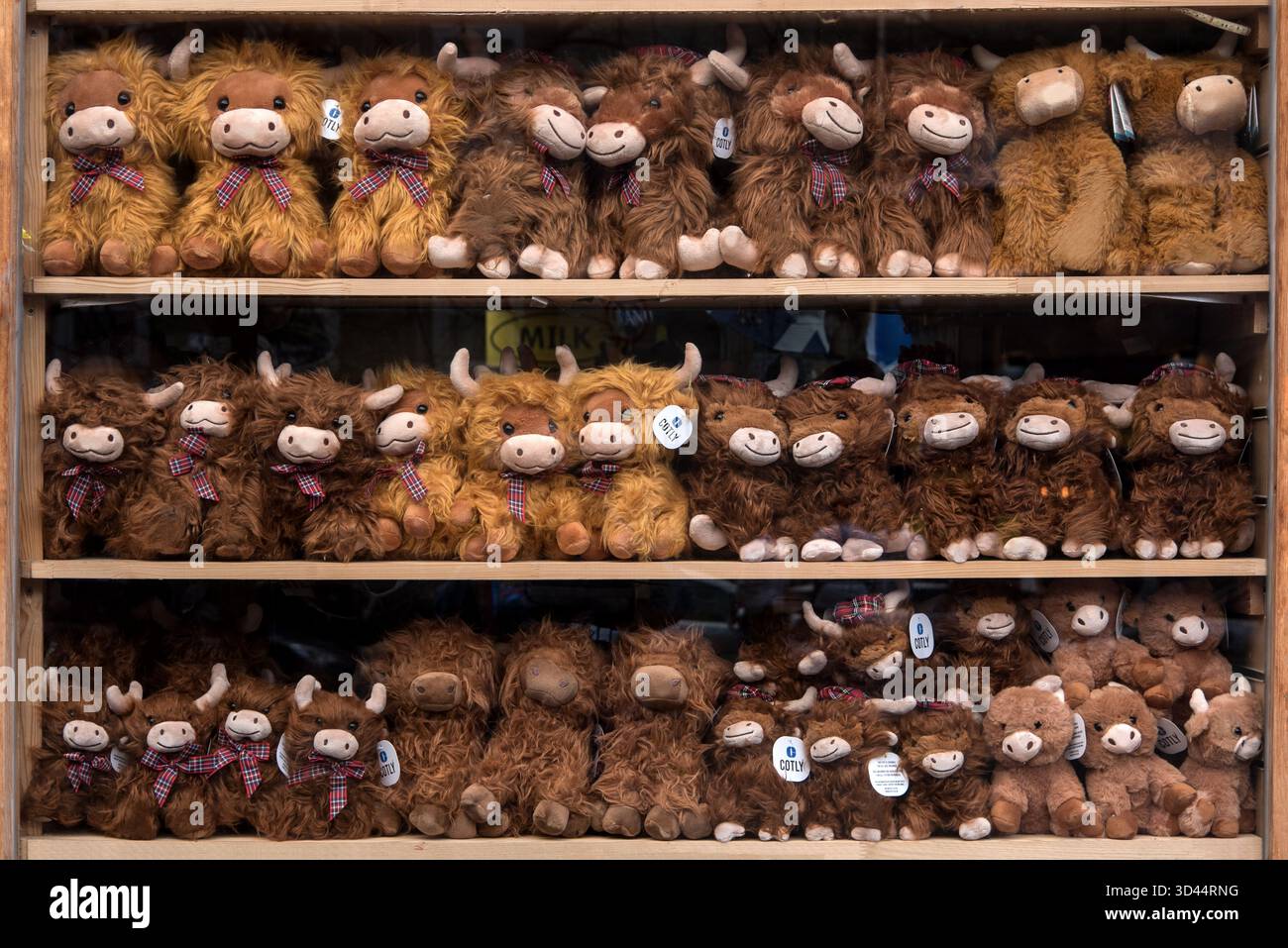 Peluche di vacca Highland in una vetrina del Grassmarket, Edimburgo, Scozia, Regno Unito. Foto Stock