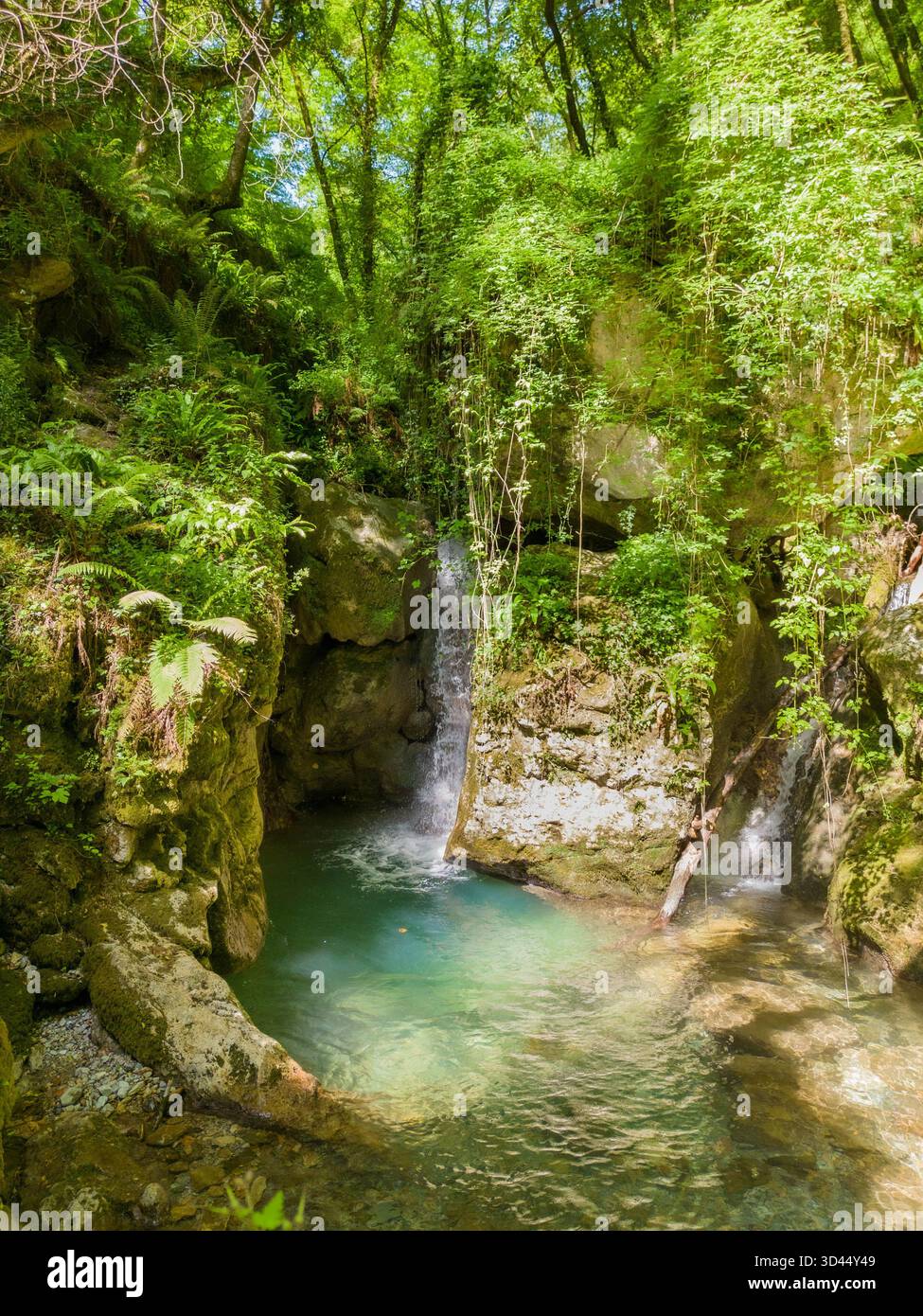 Piscina nascosta delle fate e cascata lungo il torrente Candalla, Camaiore, Toscana, Italia: Un tranquillo scenario boschivo con acque turchesi che scorrono attraverso Foto Stock