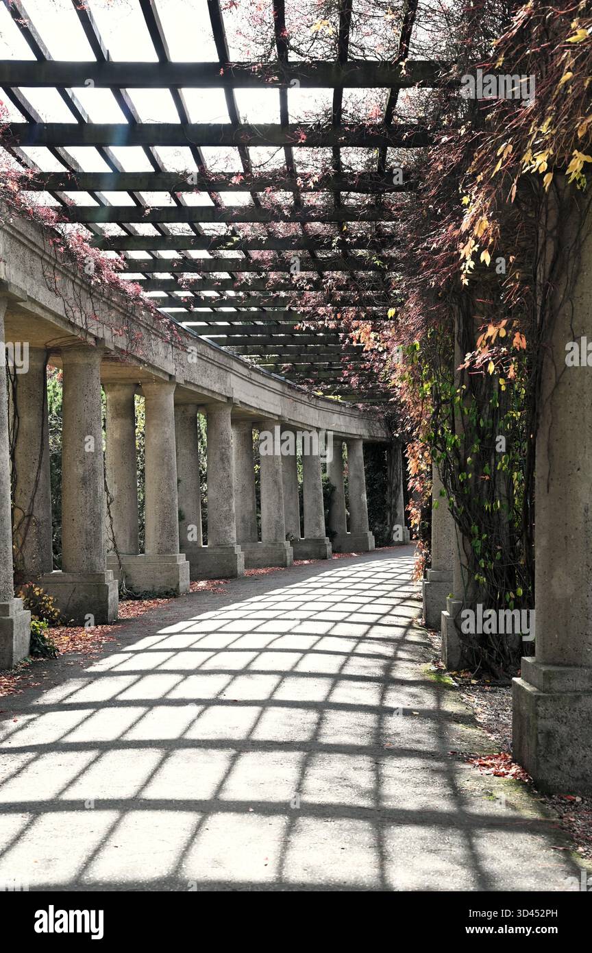 Una passeggiata attraverso un parco in autunno, con la luce del sole che passa attraverso Foto Stock