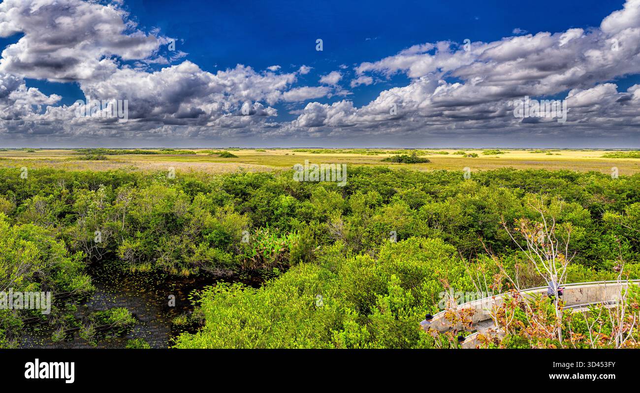 Panorama dalla torre di osservazione a Shark Valley Foto Stock