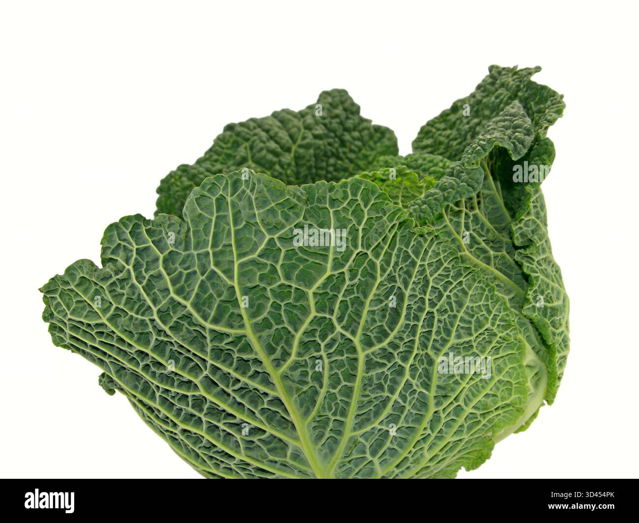 Savoy Cabbage in un primo piano Foto Stock