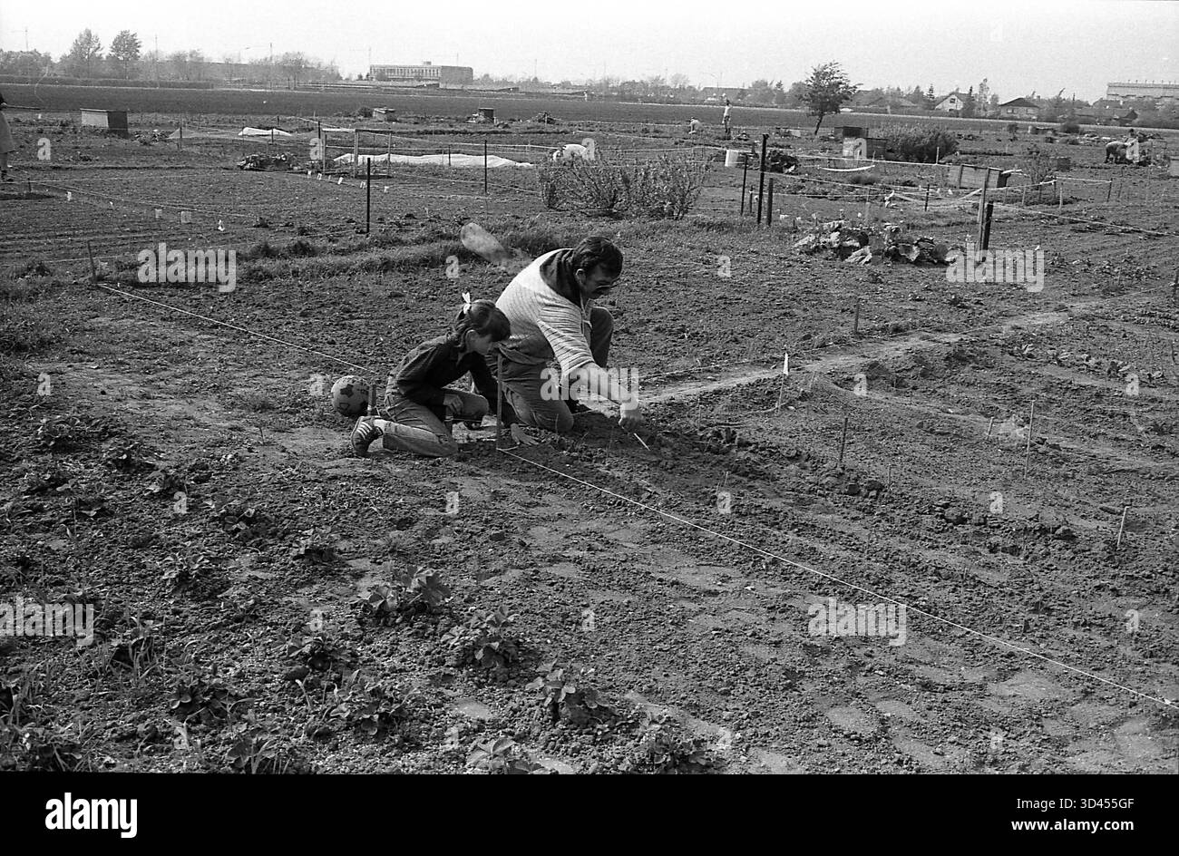 DATA DI REGISTRAZIONE NON DICHIARATA campagna polacca / polonia / GIARDINAGGIO privato IN POLONIA. Foto .Francis Joseph Dean/Dean Pictures/non per uso commerciale, editoriale per uso editoriale. Foto Stock