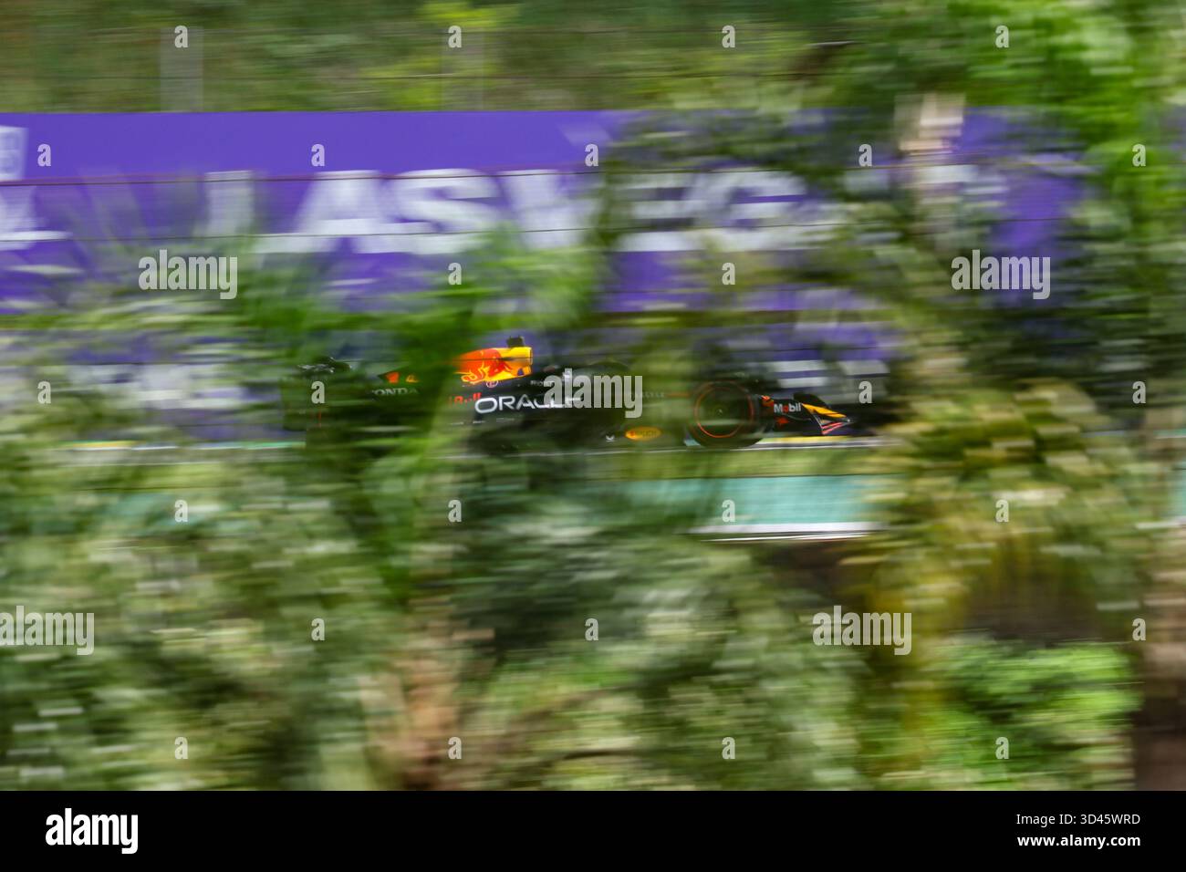 San Paolo, BRA. 11/08/2025. Max Verstappen dei Paesi Bassi alla guida della (1) Oracle Red Bull Racing RB21 Honda RBPT, durante la Formula 1 MSC Cruises grande Premio De Sao Paulo 2025. Crediti: Alessio Morgese / Alamy live news Foto Stock