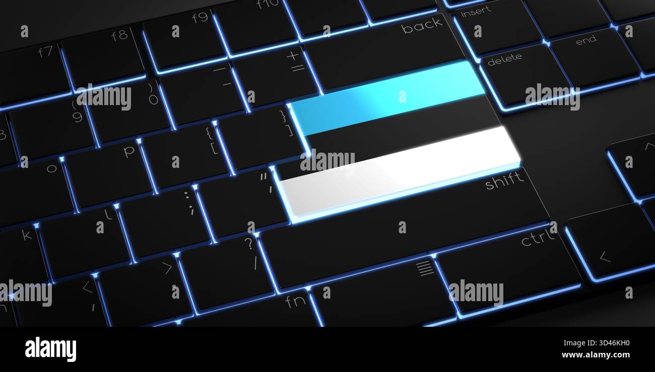 Tastiera del computer con bandiera dell'Estonia - illustrazione 3D. Foto Stock