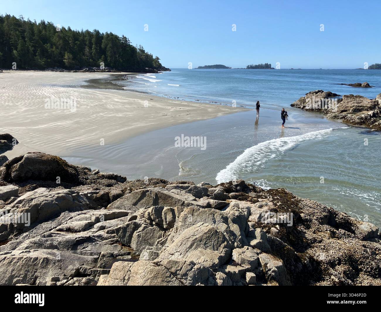 Vista panoramica di Tonquin Beach vicino a Tofino sull'isola di Vancouver, Columbia Britannica, Canada, con rive rocciose e costa sabbiosa in una giornata di sole Foto Stock