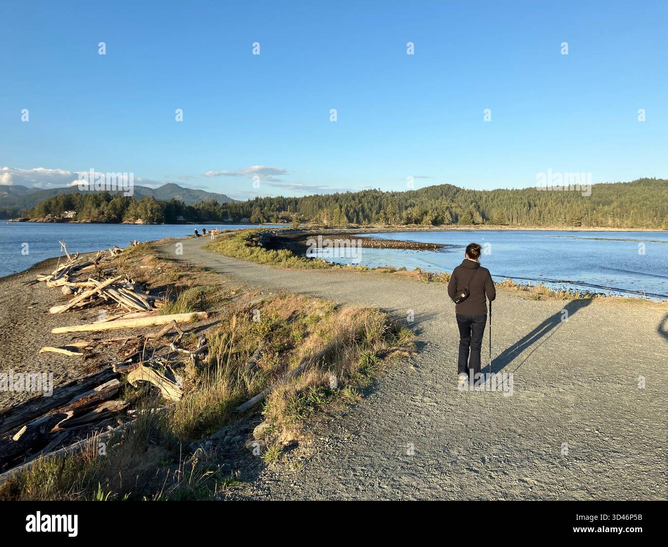 Whiffin Spit, uno spioncino panoramico che si estende nel porto di Sooke, offre vedute mozzafiato dell'oceano e della fauna selvatica. Sooke, Vancouver Island, British Co - Immagine stock catturata con smartphone