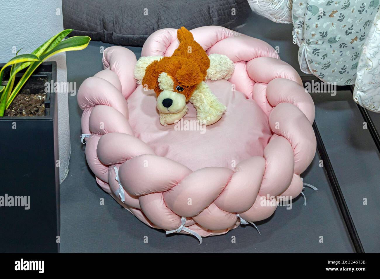 Cuscino morbido Circle utilizzato per gli animali domestici che riposano a casa con un giocattolo per cani Foto Stock
