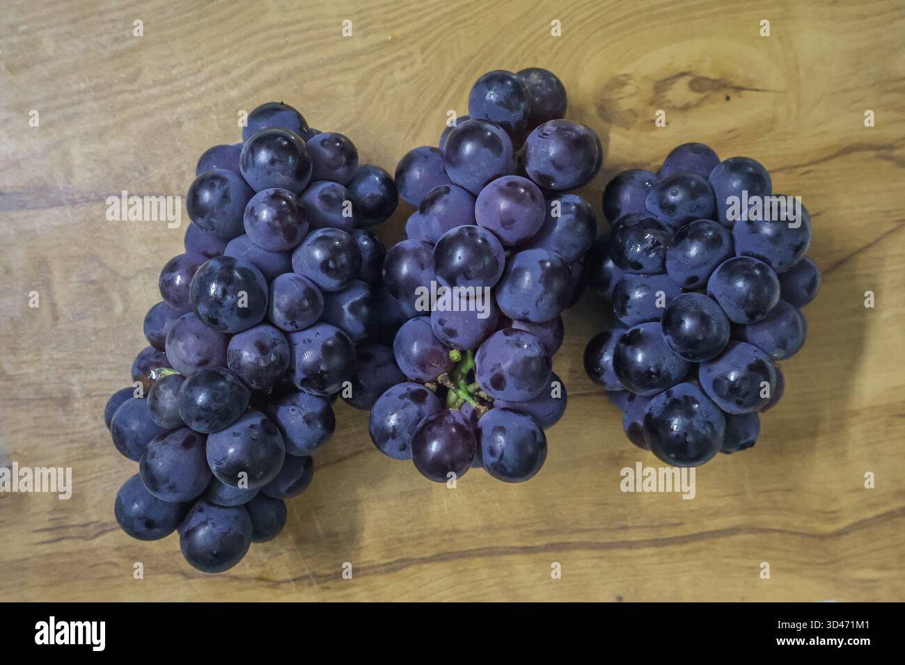 Mazzo di uva blu scuro. Uve Concord fresche, frutta sana. Foto Stock