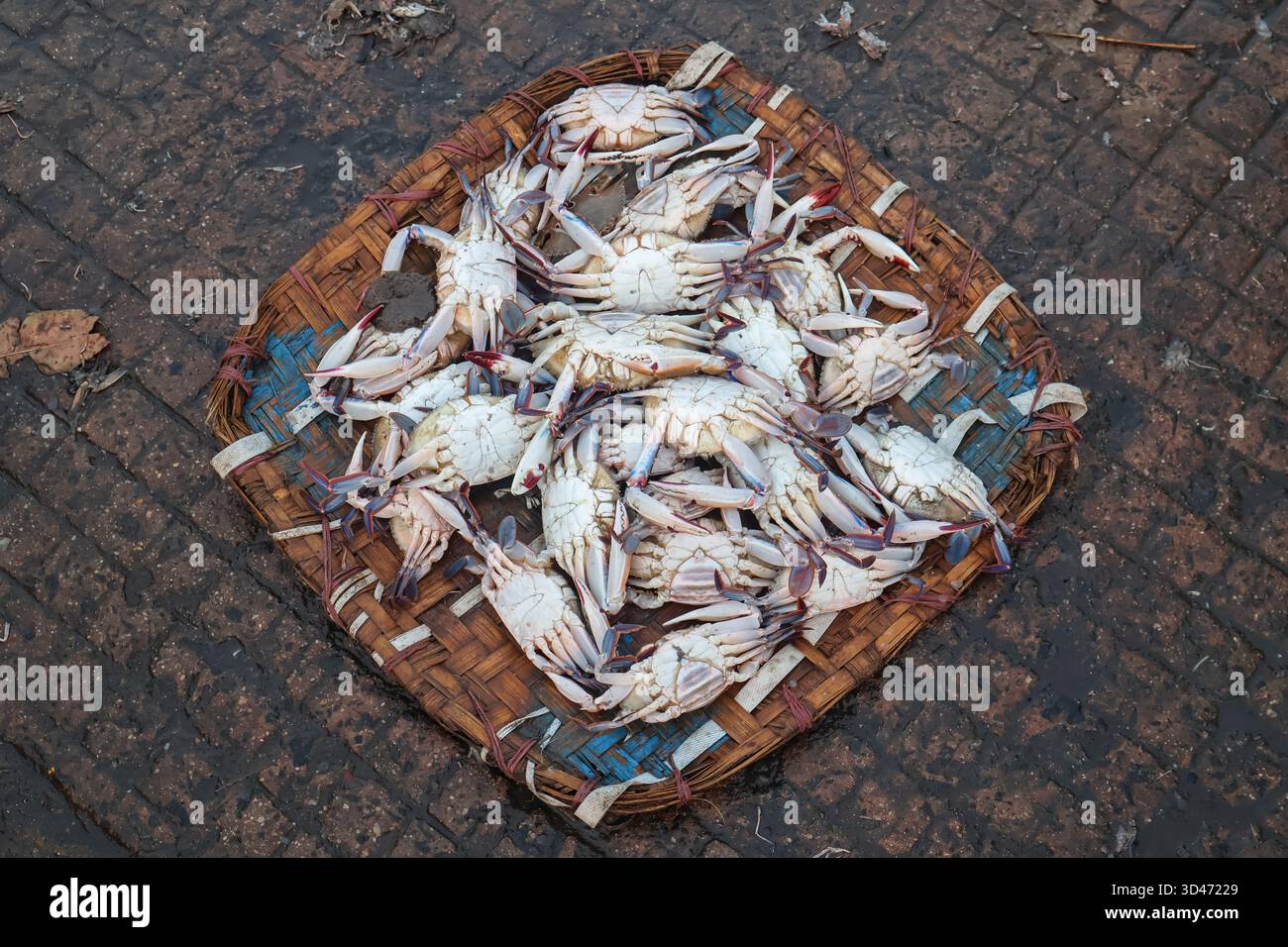 Mucchio di granchi di mare in una soop di bambù. Cibo di mare sano. Foto Stock