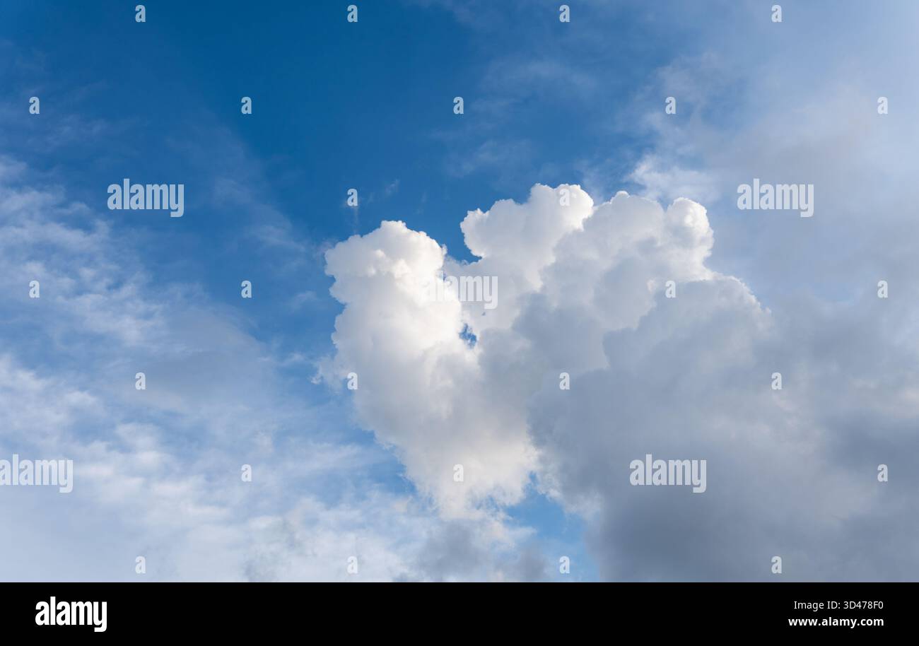 Un cielo azzurro con grandi nuvole di cumulus bianche e soffici. Una scena luminosa e soleggiata che rappresenta il bel tempo, la libertà e la bellezza della natura Foto Stock