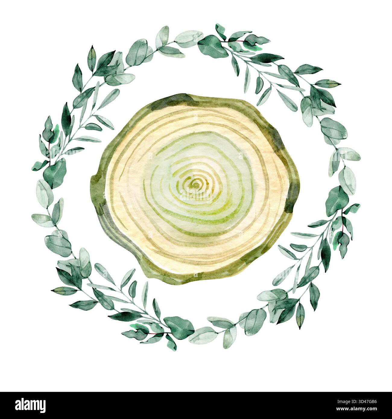 Acquerello immagine natalizia di una fetta di legno circondata da eucalipto e foglie verdi. Perfetto per le carte festive, l'arredamento rustico per matrimoni, e. Foto Stock