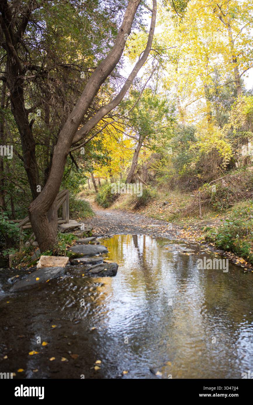 Tranquillo paesaggio caratterizzato da un torrente che scorre circondato da un vivace fogliame autunnale, che mostra riflessi nell'acqua e un'atmosfera tranquilla Foto Stock