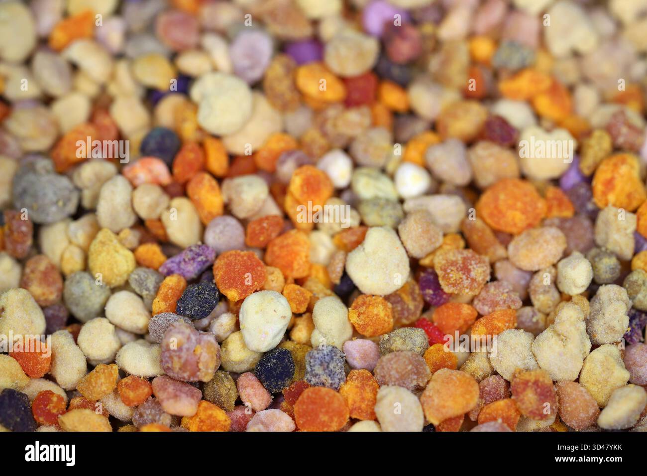 Polline raccolto dalle api e prelevato dagli apicoltori. Grani di polline multicolore raccolti da vari fiori. Foto Stock