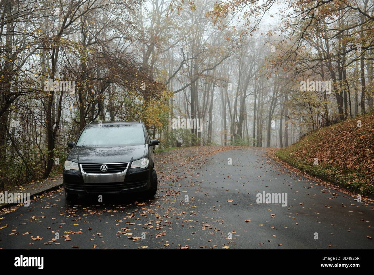 Auto Volkswagen Touran nera parcheggiata su una strada boschiva bagnata ricoperta di foglie autunnali con il tempo nebbioso. Un ambiente di viaggio tranquillo con una luce soffusa. Sopot, Serbia - Foto Stock