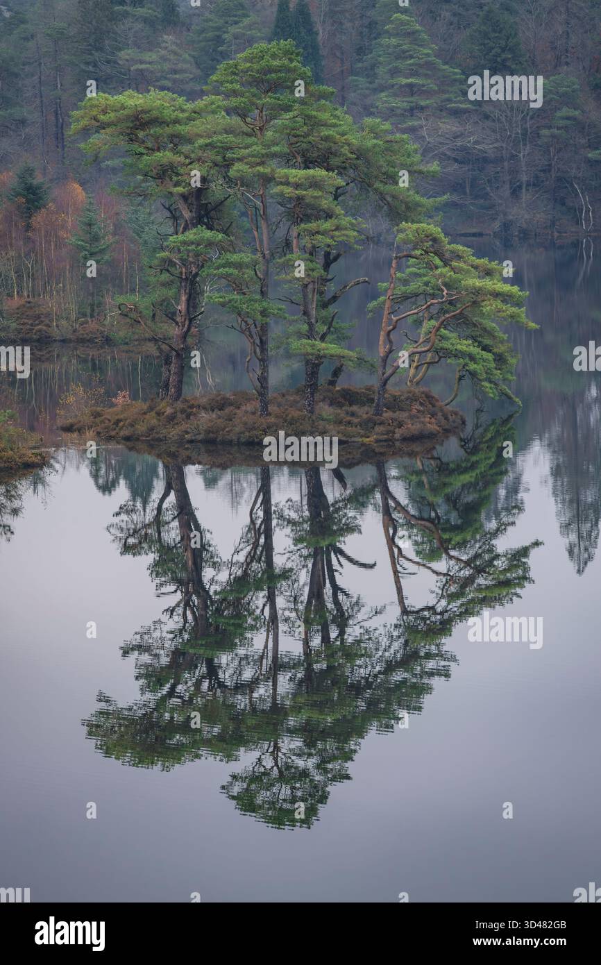 Riflessioni su una giornata tranquilla e coperto sul lago Tarn Hows vicino a Coniston, English Lake District. Foto Stock