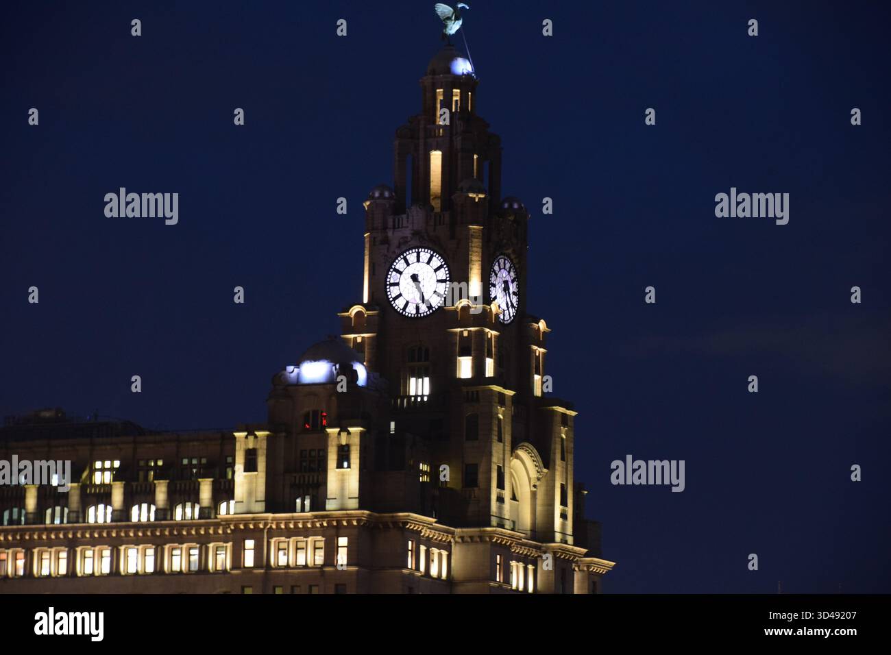 Edificio del fegato di notte Foto Stock