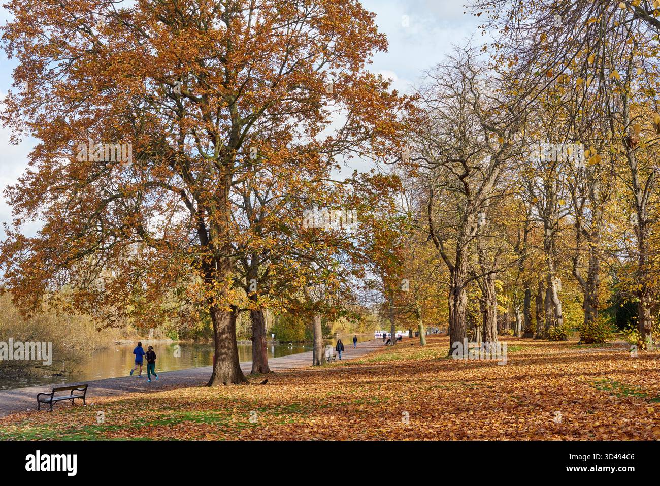 Barking Park, East London, Regno Unito, alla luce del sole autunnale Foto Stock