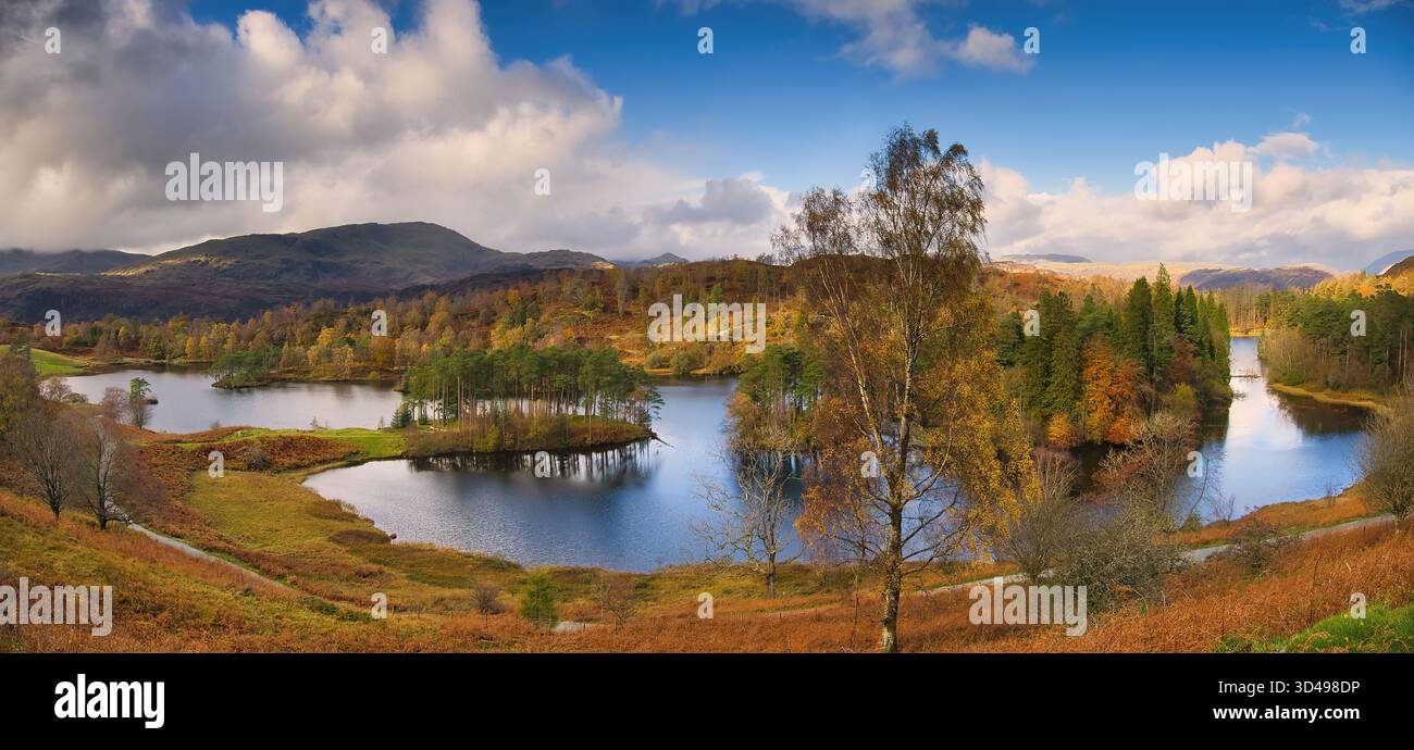 Una foto panoramica di Tarn Hows dal punto panoramico con i colori autunnali del bosco circostante profondo e ricco Foto Stock