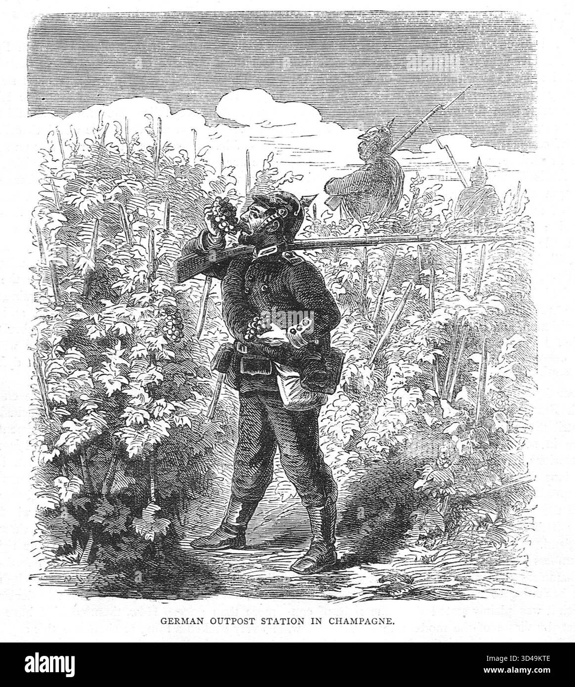 Soldato prussiano che si sta aiutando ad ottenere l'uva. Avamposto tedesco a Champagne durante la guerra franco-prussiana. Foto Stock
