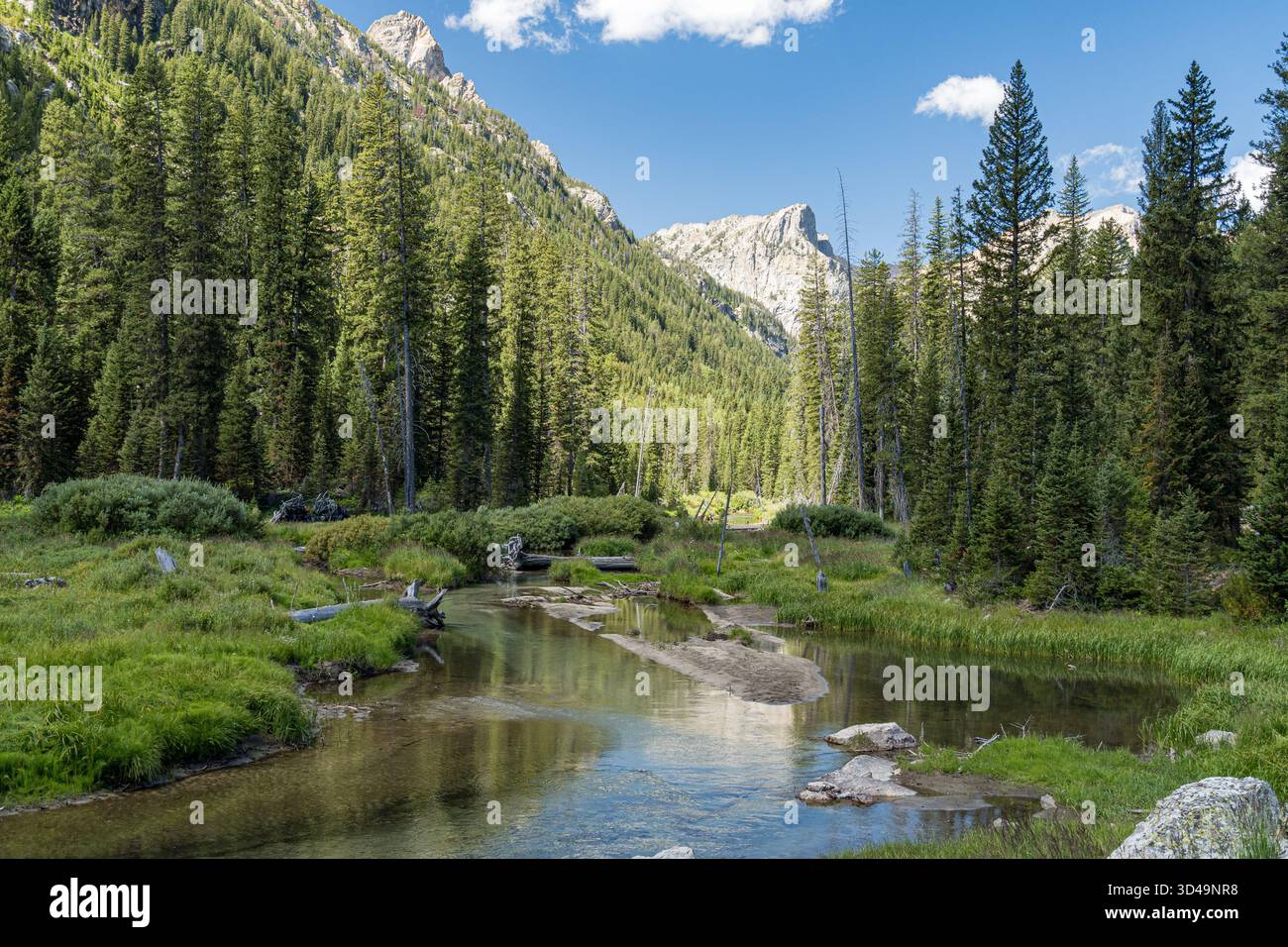 Cascade Creek scorre attraverso il Cascade Canyon nel Grand Teton National Park, Wyoming, USA Foto Stock