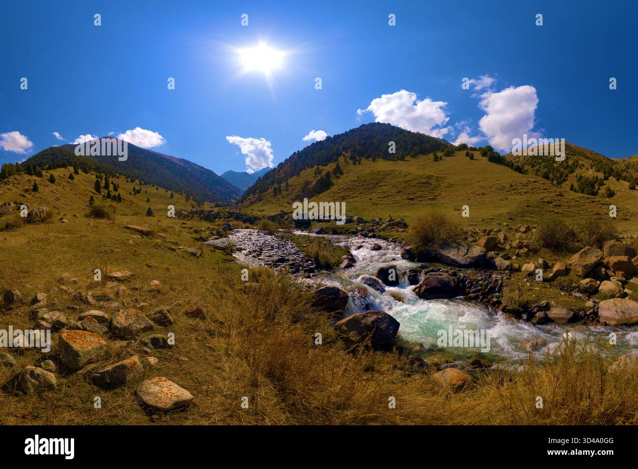 Mountain River Cascading Over Rocks nella soleggiata Valle Foto Stock