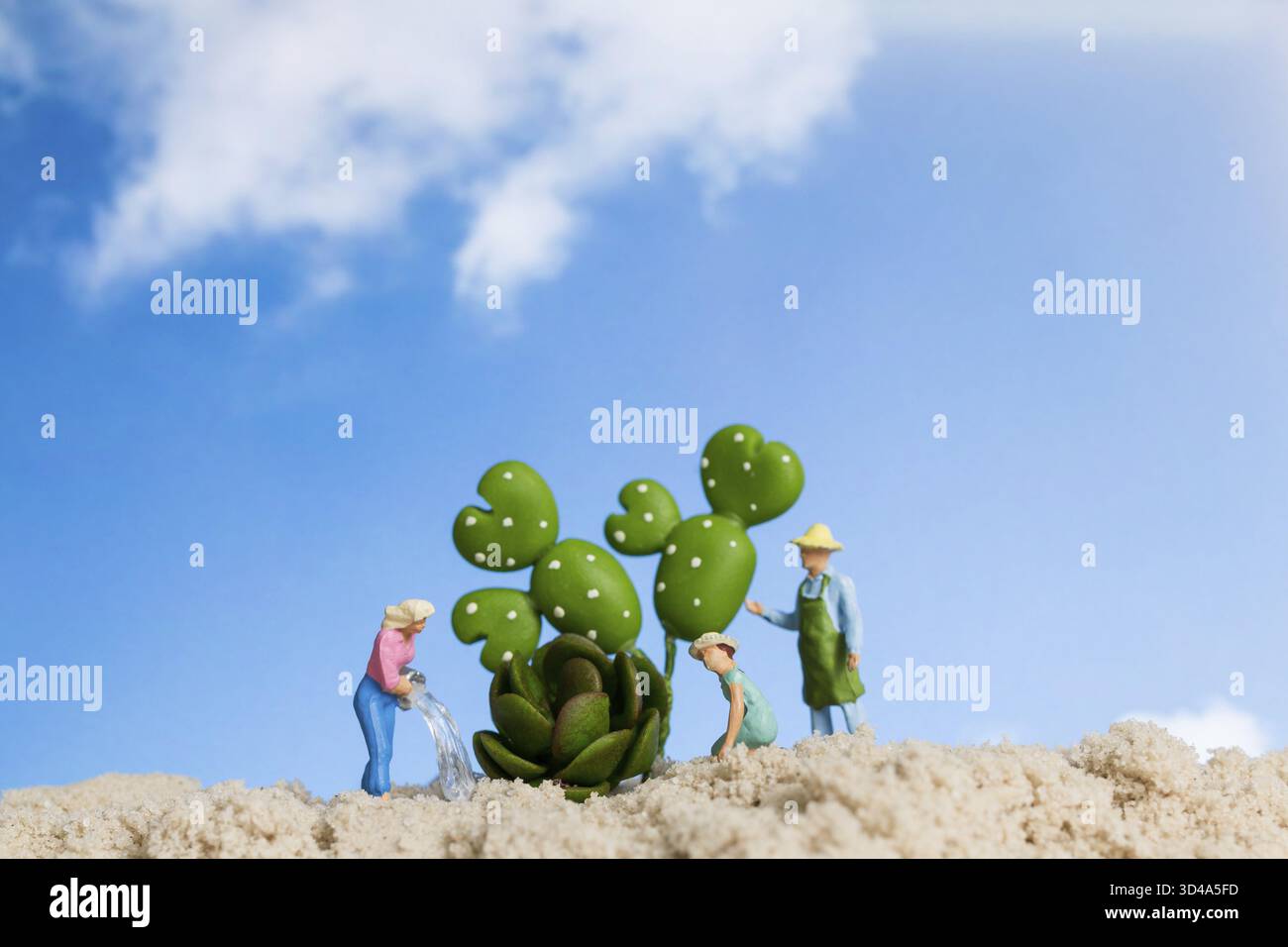 Giardiniere in miniatura che lavora sulle piante di cactus, concetto di hobby per il giardinaggio domestico Foto Stock