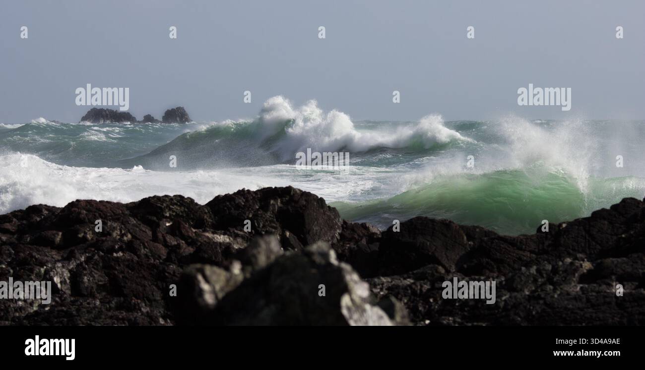 Mare turbolento con grandi onde a Kynance Cove sulla Penisola di Lizard, Cornovaglia. Rocce frastagliate sulla spiaggia in primo piano. Foto Stock