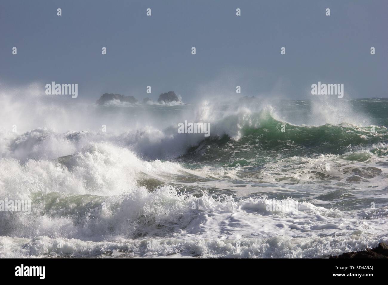 Grandi onde violente che si muovono al largo della spiaggia a Kynance Cove sulla Penisola di Lizard, in Cornovaglia. Dopo una tempesta. Foto Stock
