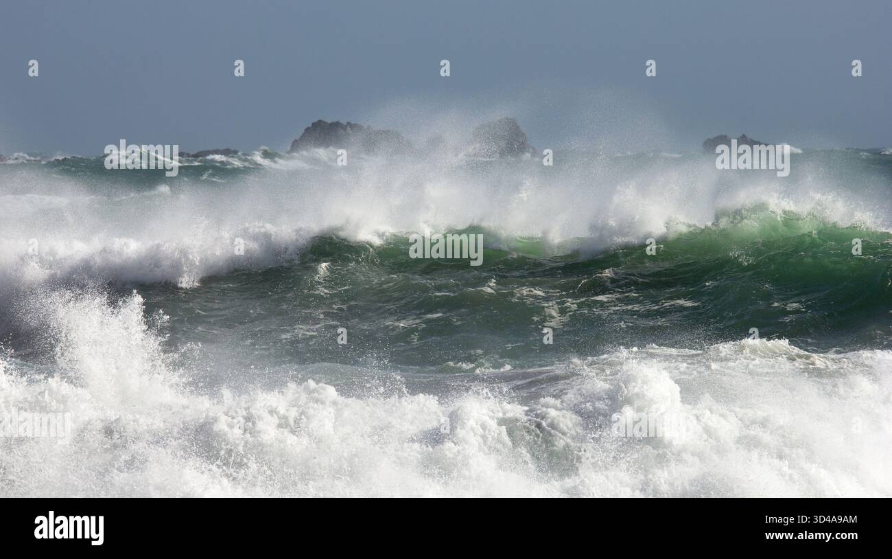 Grandi onde che sfrecciano al largo della spiaggia a Kynance Cove sulla Penisola di Lizard, Cornovaglia. Dopo una tempesta. Foto Stock