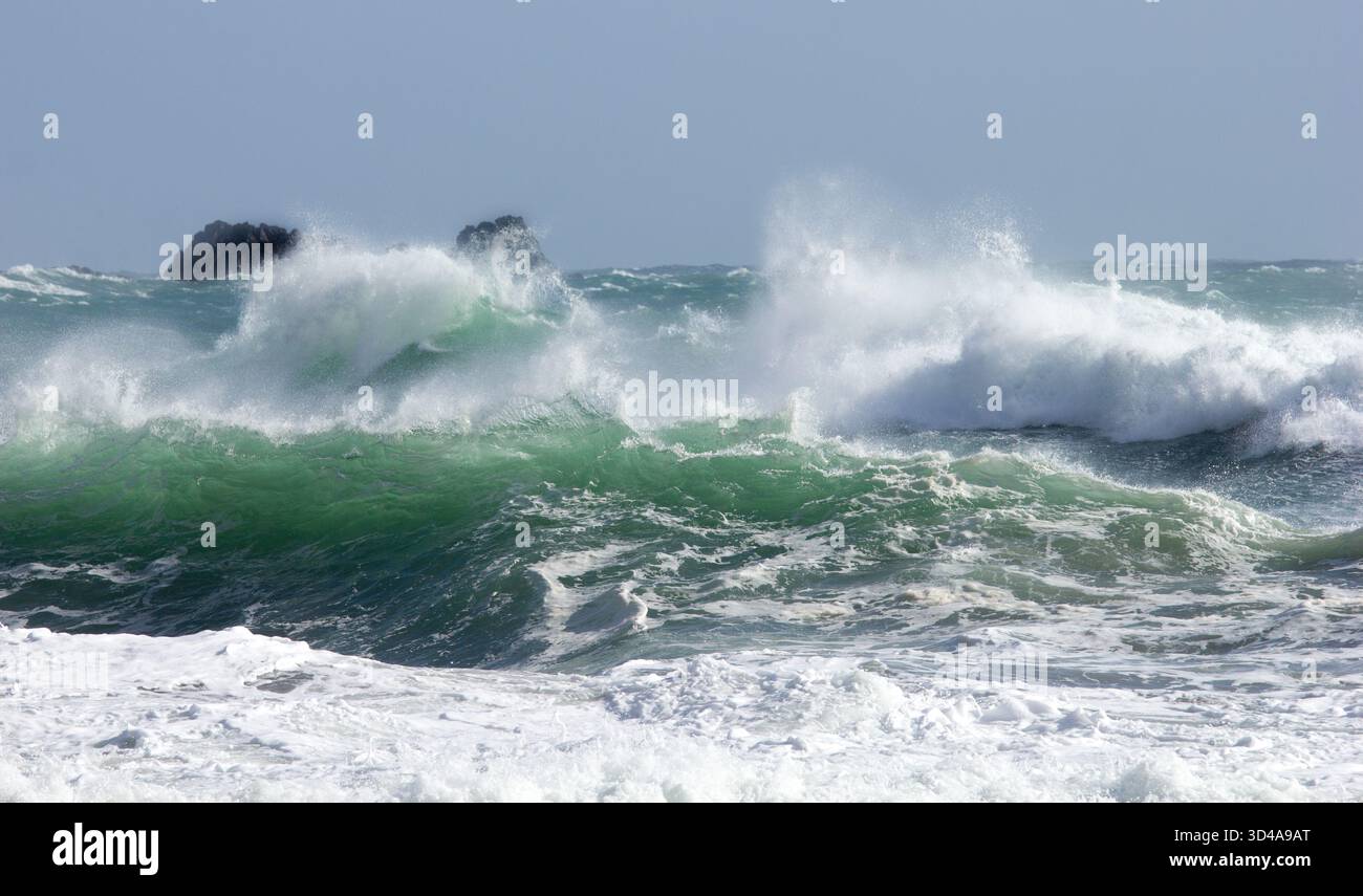 Grandi onde violente che si muovono al largo della spiaggia a Kynance Cove sulla Penisola di Lizard, in Cornovaglia. Acqua traslucida verde mare. Dopo una tempesta. Foto Stock