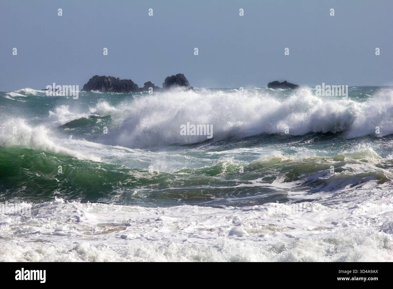 Grandi onde violente al largo della spiaggia a Kynance Cove sulla Penisola di Lizard, Cornovaglia. Acqua traslucida verde mare. Dopo una tempesta. Foto Stock