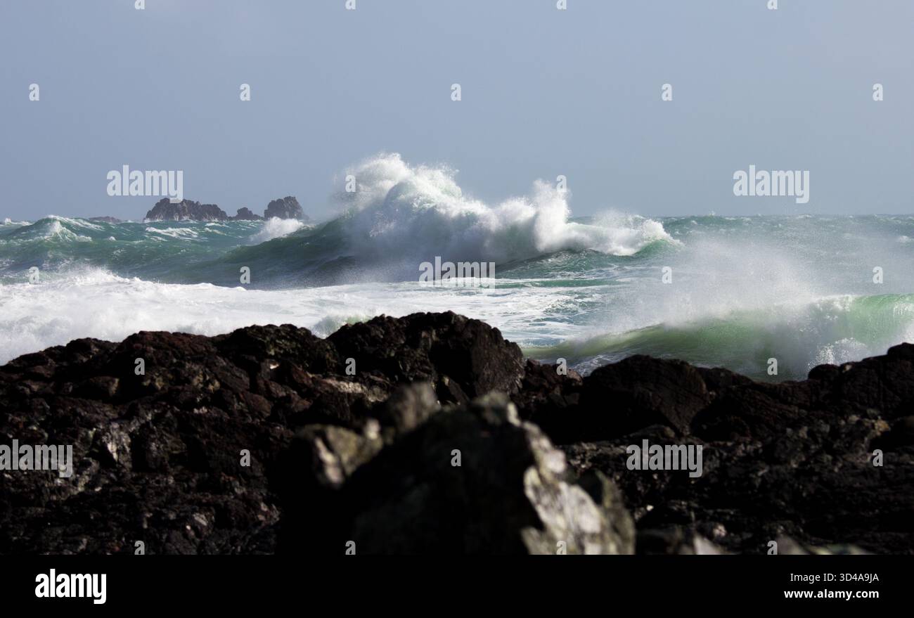 Rompere il surf a Kynance Cove sulla penisola di Lizard, in Cornovaglia dopo una tempesta. Rocce frastagliate in spiaggia in primo piano. Spettacolare paesaggio marino. Foto Stock