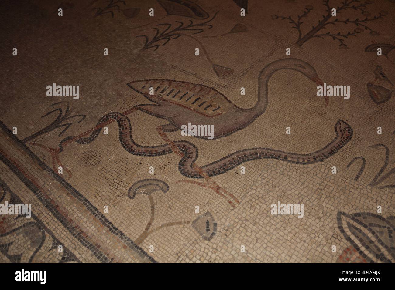 Chiesa della moltiplicazione, Tabgha, un ibis con serpente o serpente, segno del male avvolto sulla sua gamba, visto su un pavimento a mosaico di epoca bizantina del 5° cimitero. Foto Stock