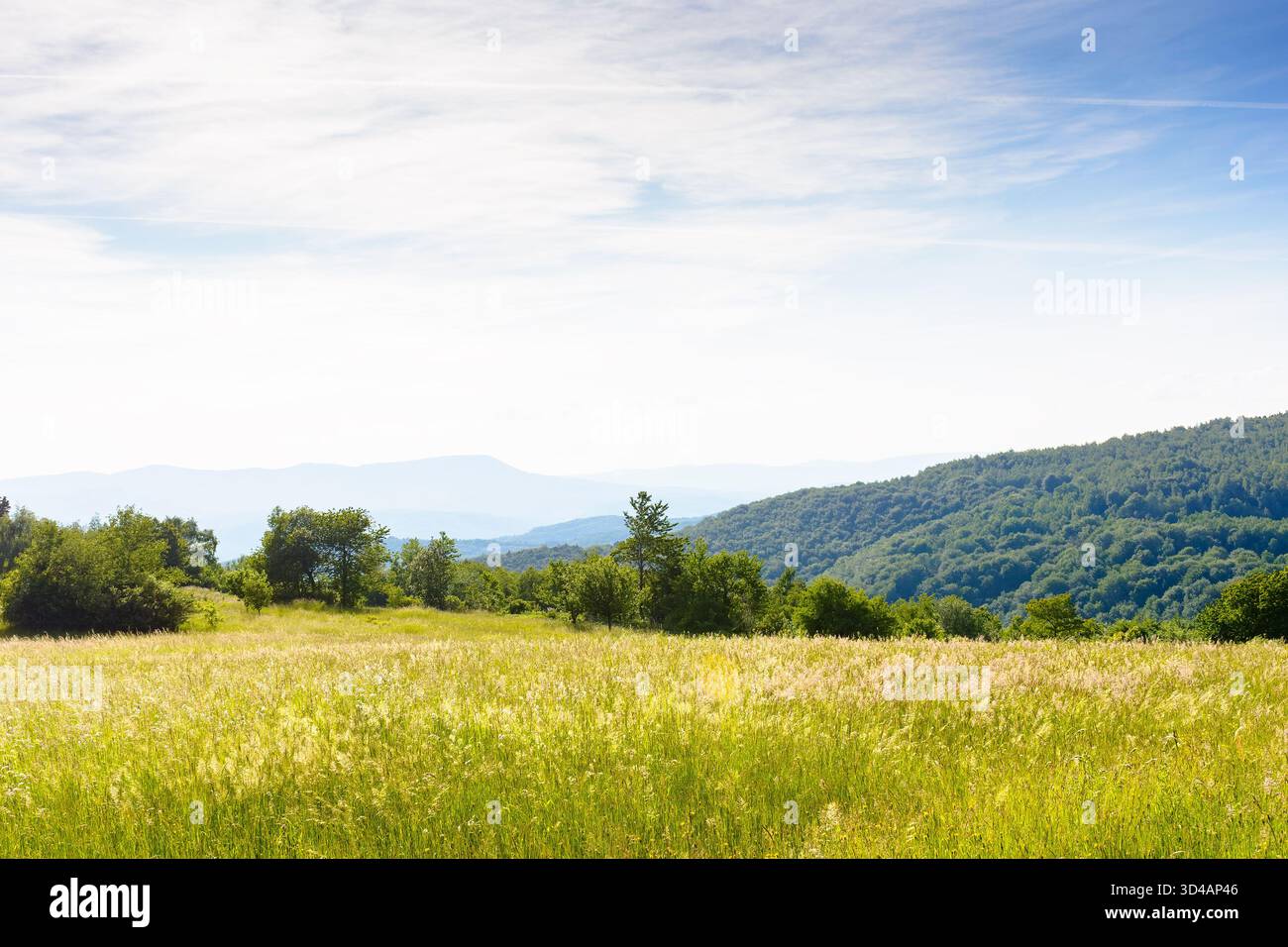 paesaggio estivo serale con prato in montagna. scenario di campagna di transcarpathia, ucraina con vista panoramica di un lontano crinale in delizioso Foto Stock