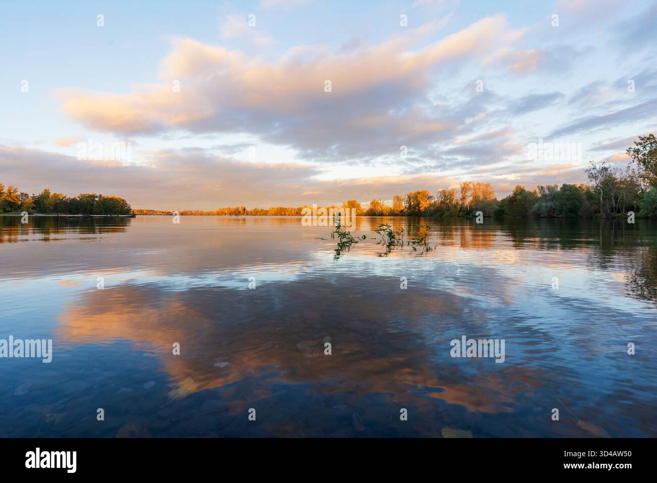 Luce dell'ora d'oro e nuvole che si riflettono su un lago calmo circondato da alberi autunnali in campagna. Foto Stock