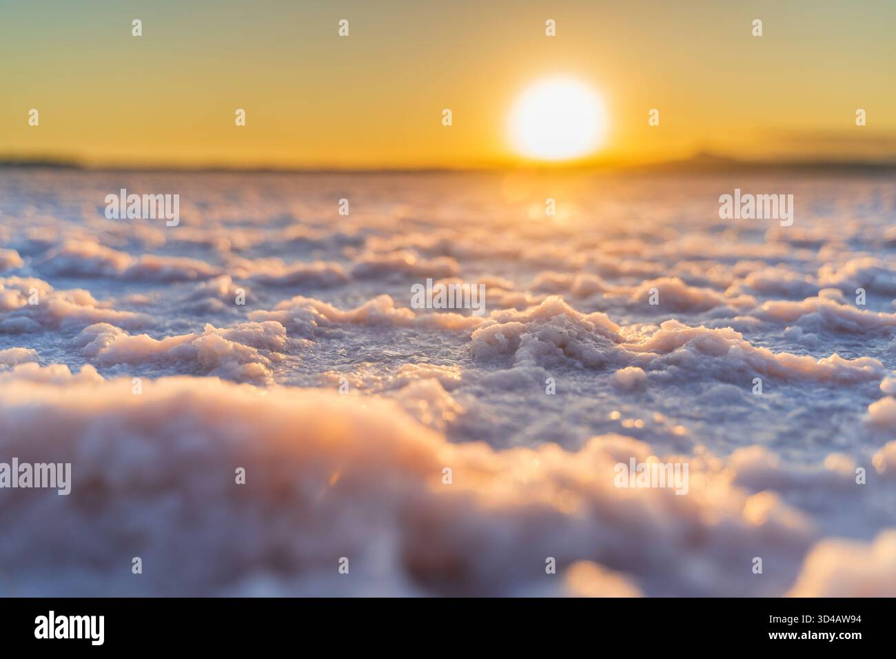 Formazioni di sale cristallizzate che brillano alla luce del tramonto Foto Stock