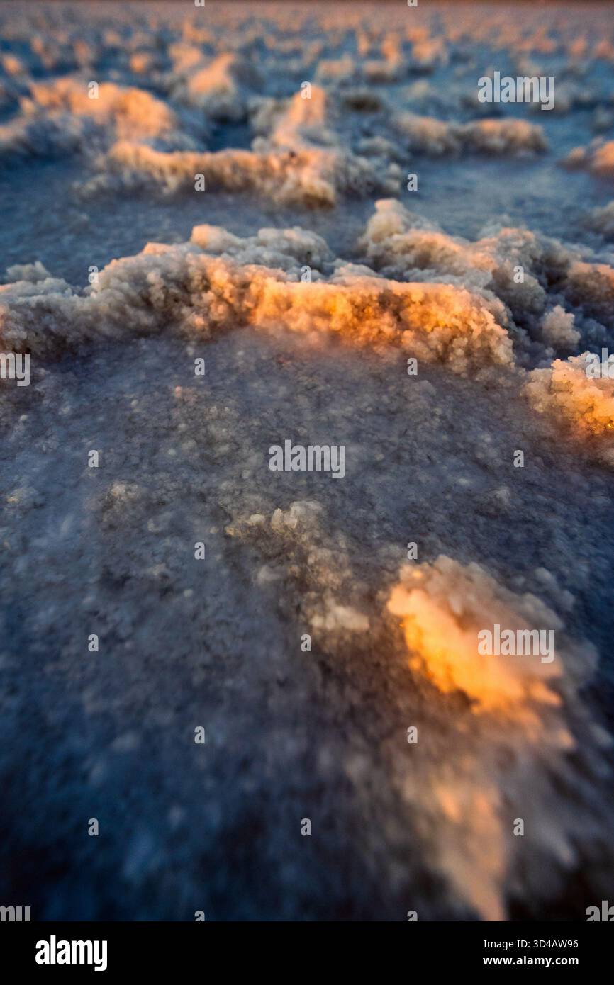 Primo piano dettagliato di formazioni saline cristallizzate che si illuminano con la calda luce del tramonto su una superficie salina piatta. Foto Stock