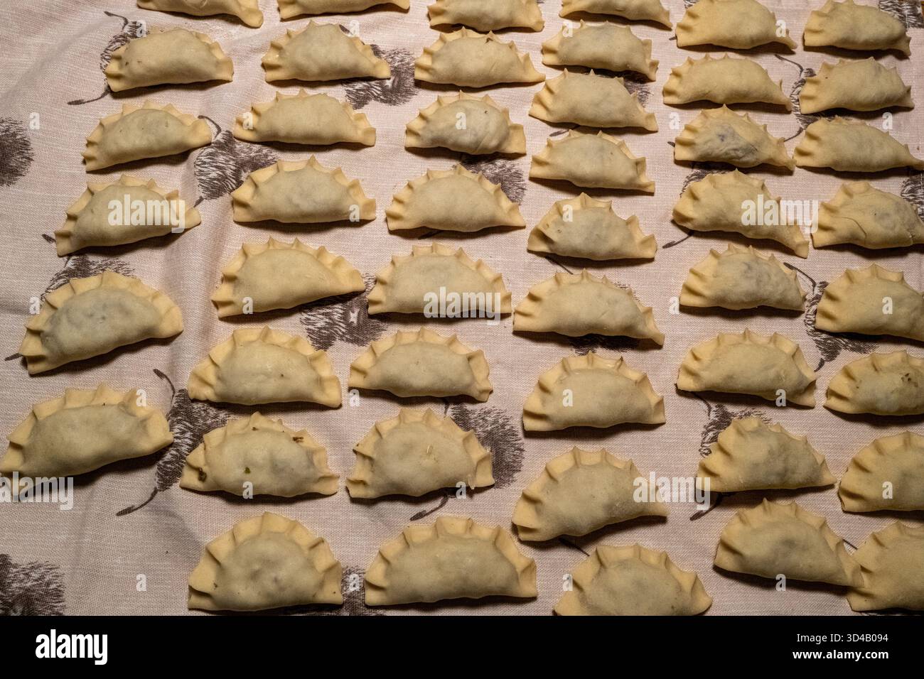Pierogi lucidi, polpette fatte in casa disposte in modo ordinato su una superficie in tessuto. Piatto tradizionale regionale. Funghi, cavolo. Foto Stock