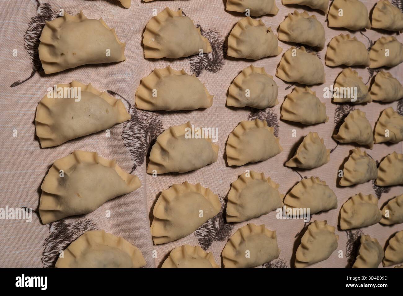 Pierogi lucidi, polpette fatte in casa disposte in modo ordinato su una superficie in tessuto. Piatto tradizionale regionale. Funghi, cavolo. Foto Stock