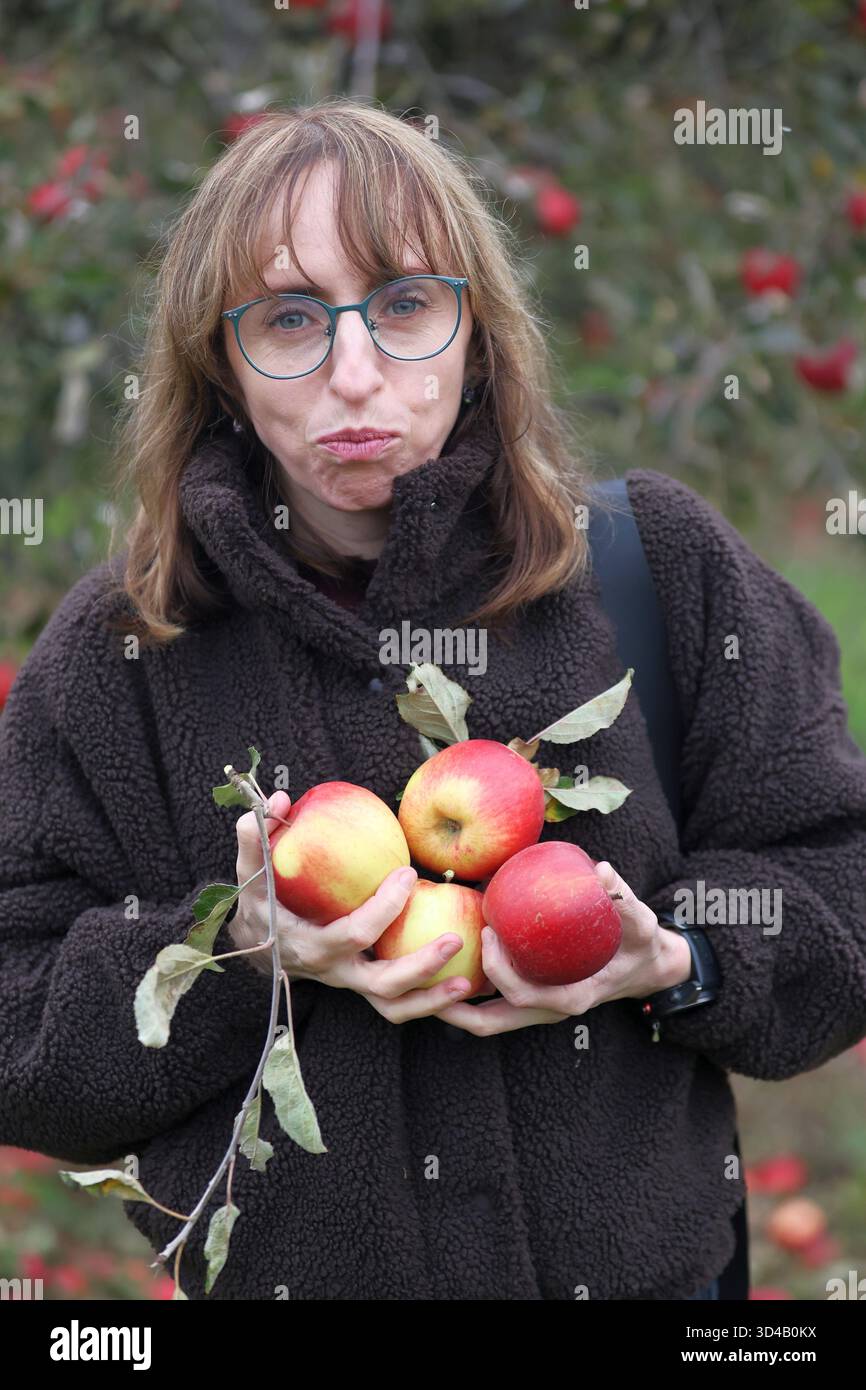 Donna gioiosa che tiene le mele appena raccolte in un frutteto autunnale Foto Stock