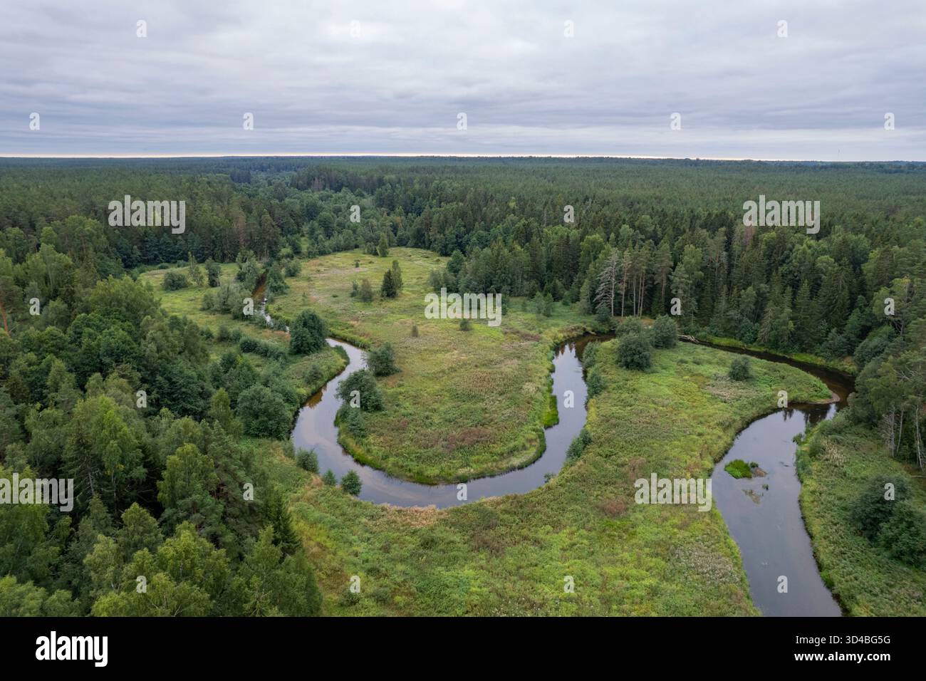 Paesaggio in Estonia rurale Foto Stock