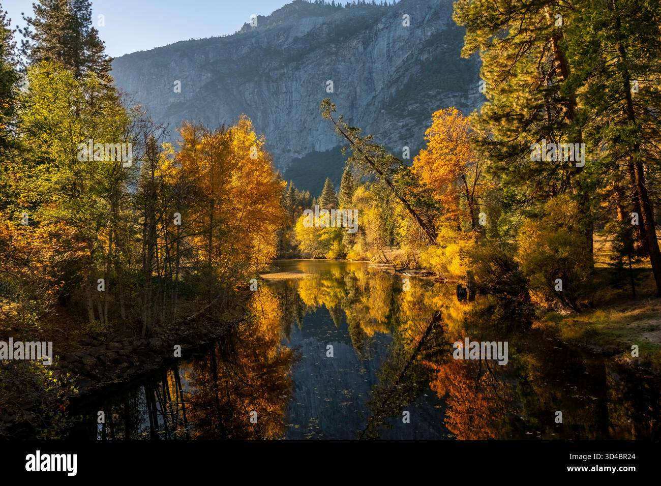 Riflessi autunnali sul fiume Merced Yosemite Foto Stock