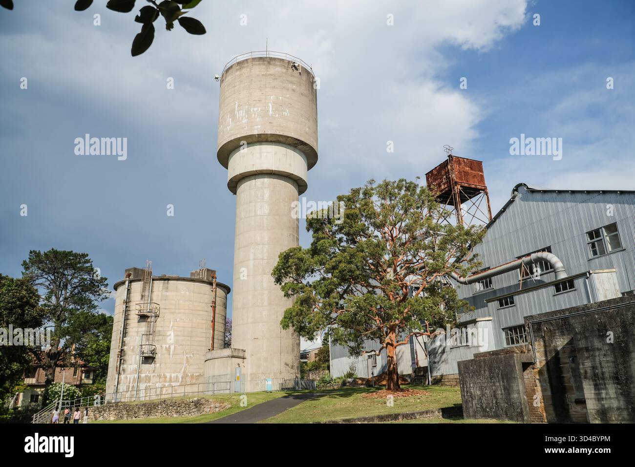 Distretto di progettazione navale, isola di Cockatoo, Sydney. Un'alta torre d'acqua in cemento, edifici industriali e un albero, che mette in risalto lo storico shi dell'isola Foto Stock