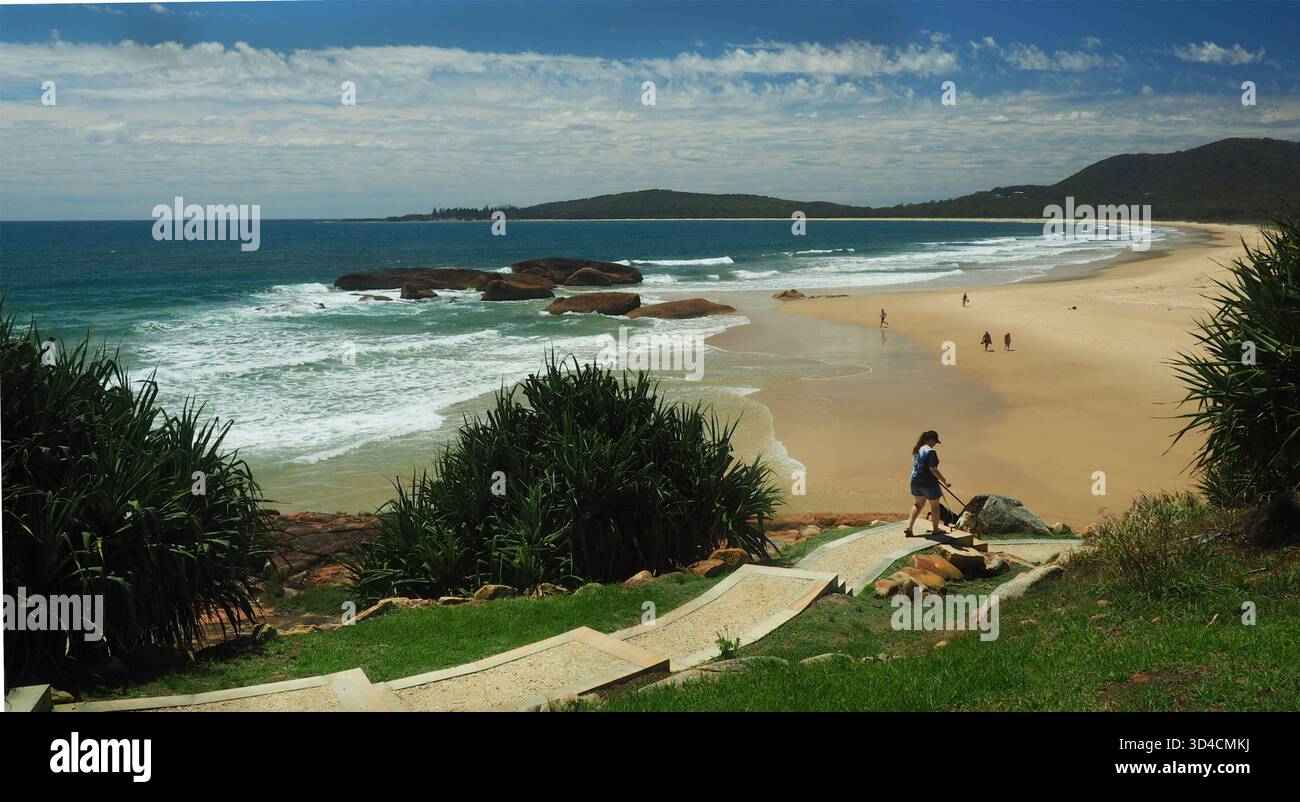 Una donna con due cani cammina lungo un sentiero sinuoso fino alla spiaggia di sabbia bianca di South West Rocks NSW Foto Stock