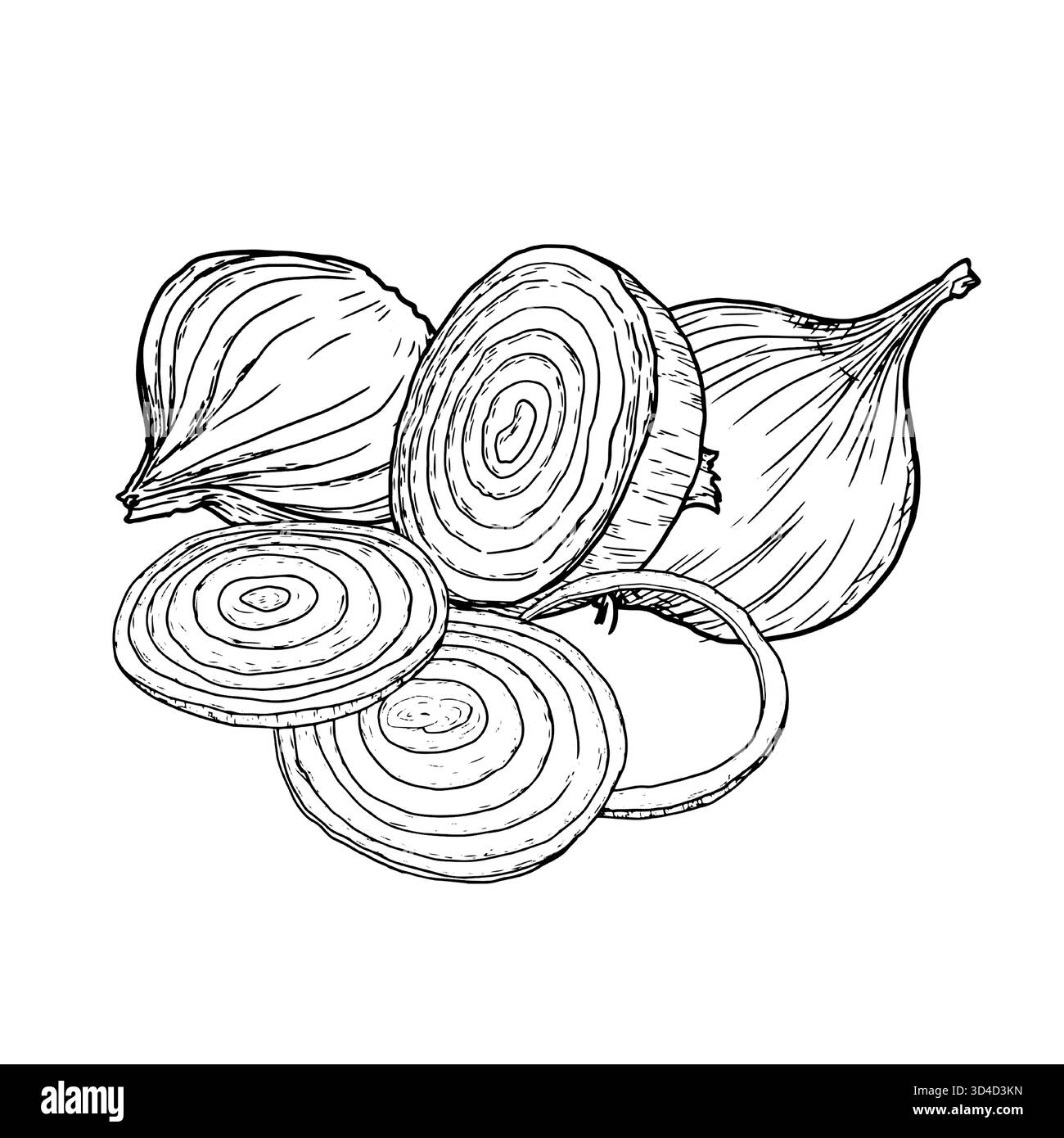 Cipolla, intera e tagliata in anelli e fette, disegnare. Illustrazione vettoriale. Verdure e spezie di fattoria, isolate su sfondo bianco. Per le ricette, uomini Illustrazione Vettoriale