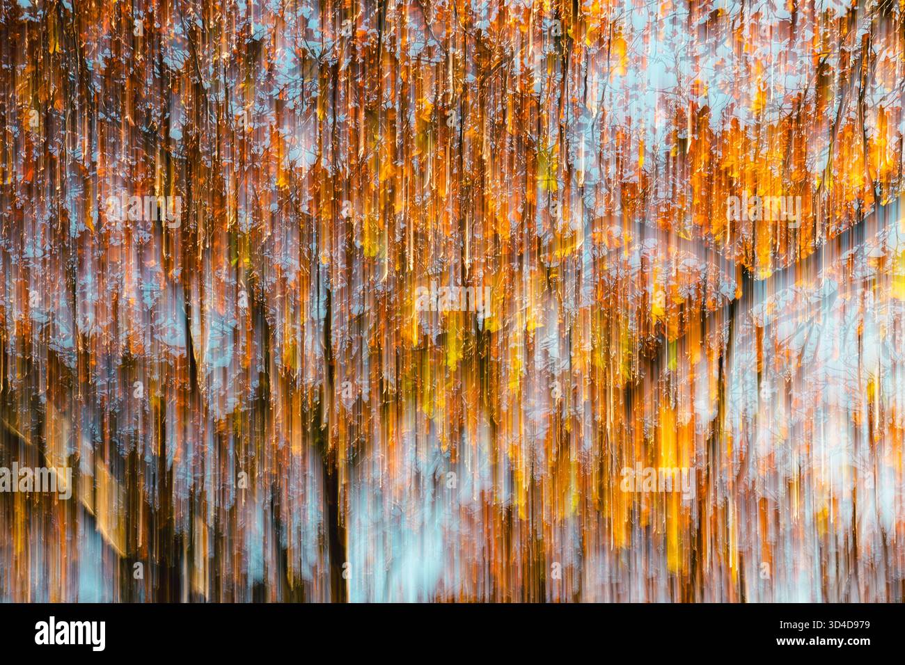 Gli alberi autunnali colorati si trasformano in una scena astratta morbida e fluida attraverso la fotografia intenzionale di sfocatura del movimento. Foto Stock