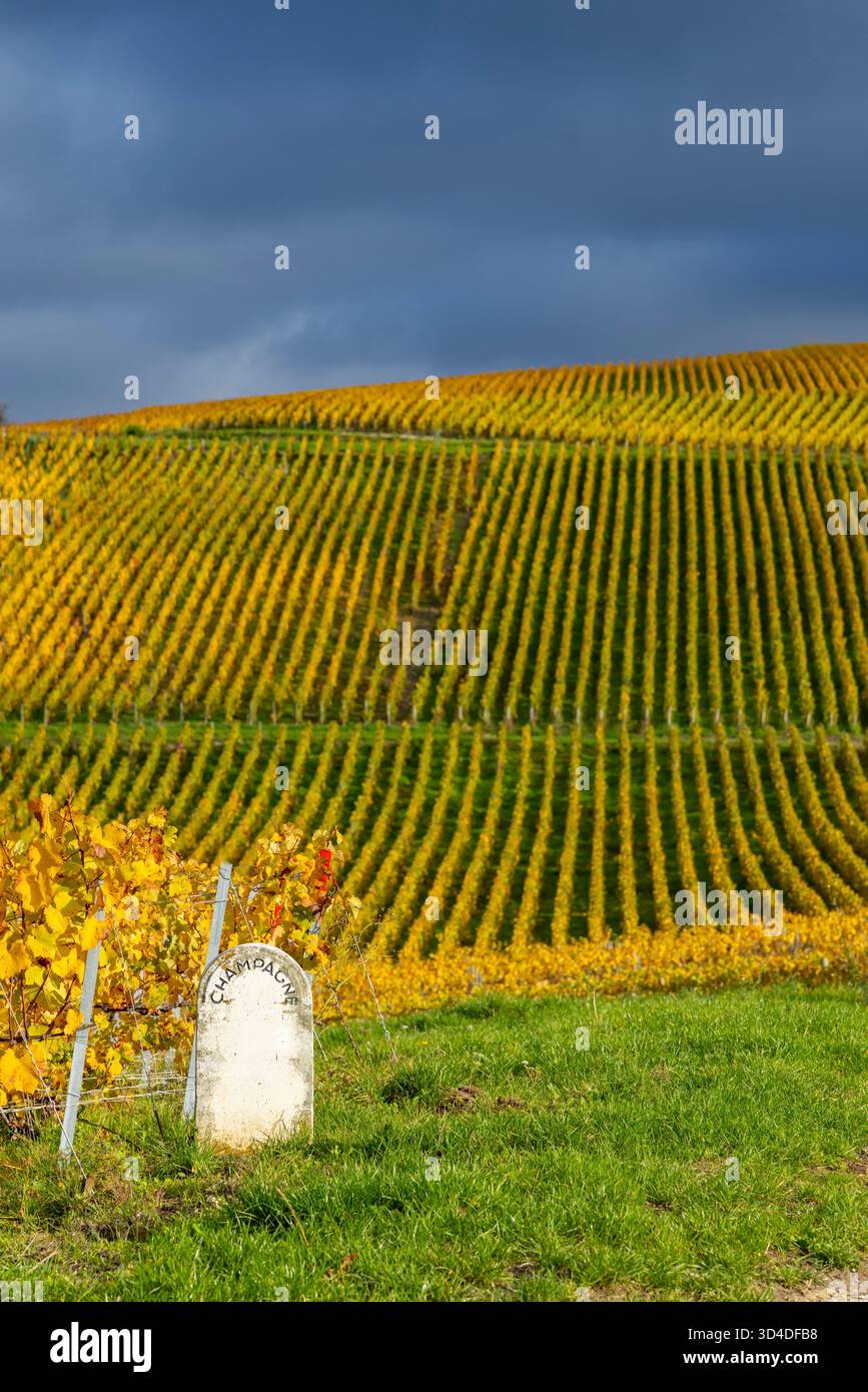 Paesaggio ondulato dei vigneti che mostra i colori autunnali e un marcatore di confine della regione dello Champagne Foto Stock