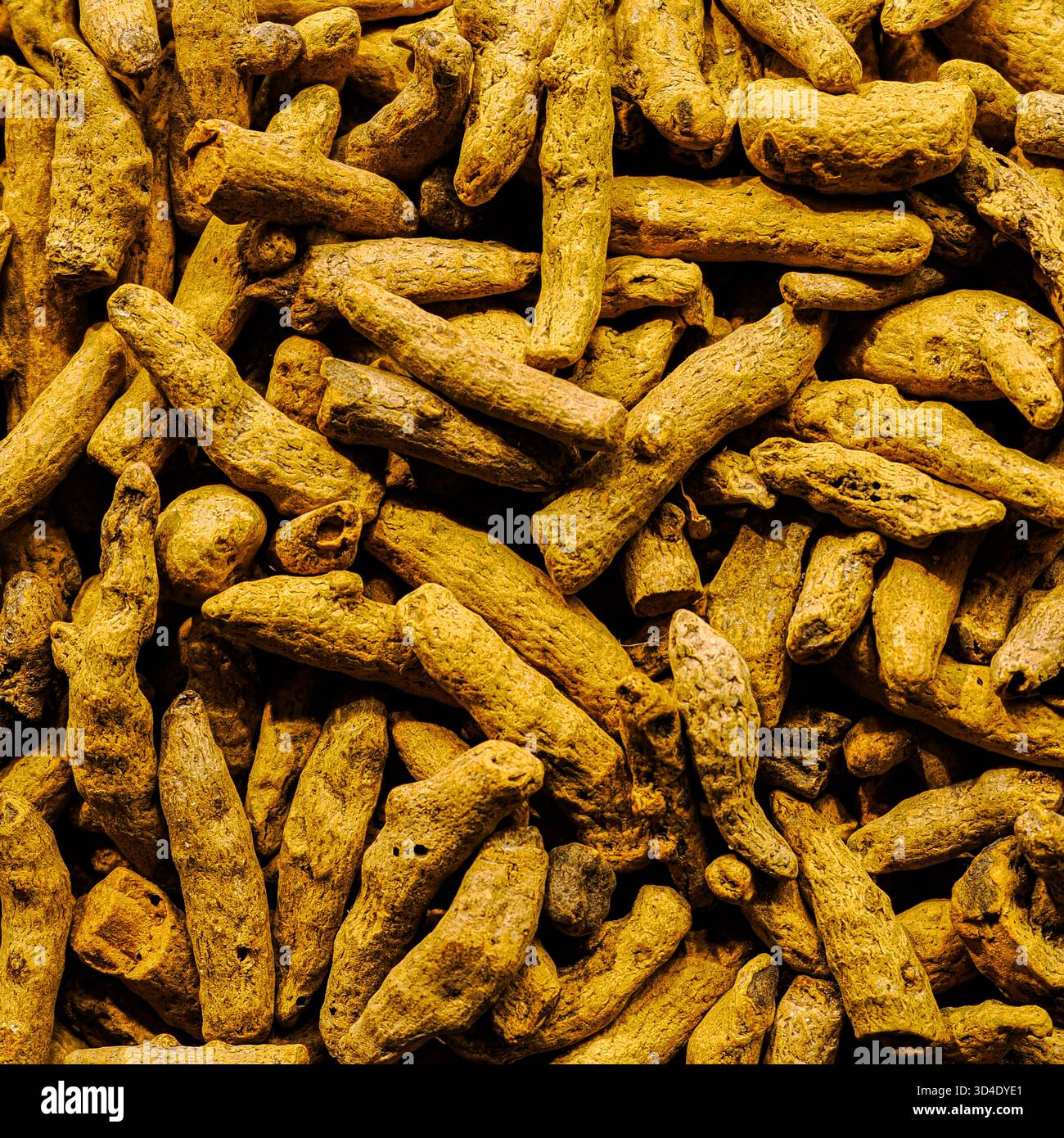 Istanbul, Türkiye - 8 novembre 2025: Vista ravvicinata dei rizomi di curcuma essiccati, noti per il loro colore giallo brillante e i benefici per la salute, in mostra Foto Stock