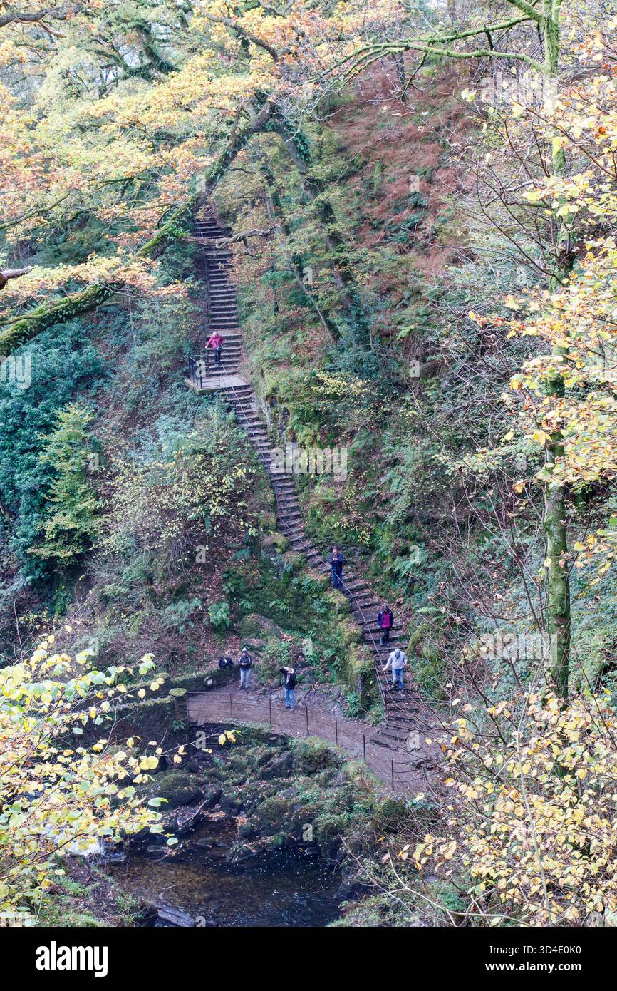 A pochi passi dalla cascata Aira Force nel Lake District Foto Stock