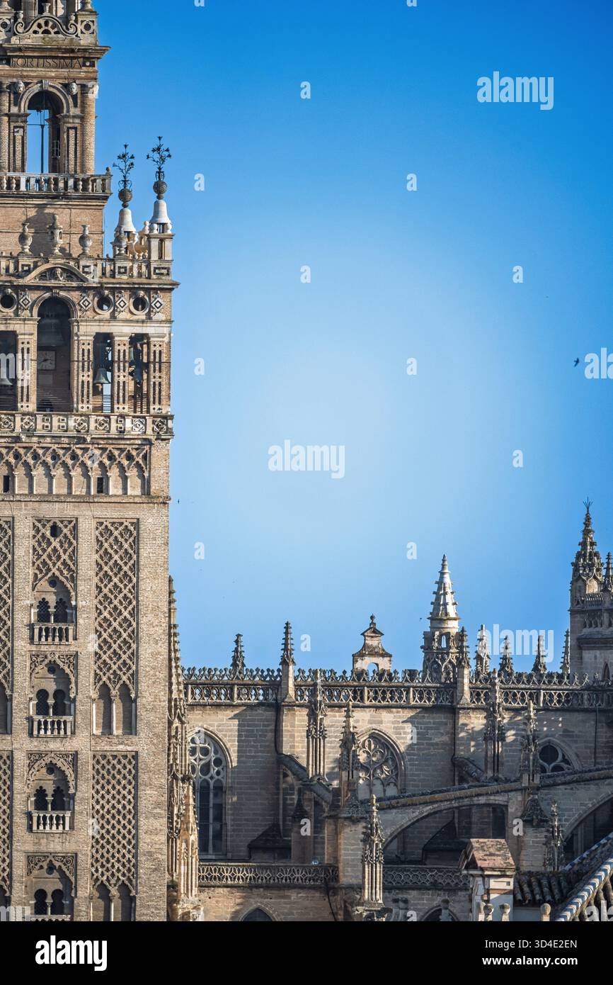 Gli intricati dettagli gotici della cattedrale di Siviglia accanto alla splendida muratura del campanile della Giralda sotto un cielo azzurro. Foto Stock
